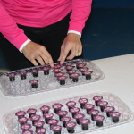 Hobby Unit – Open Call Service